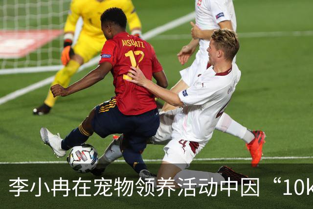 李小冉在宠物领养活动中因“10k”迷惑引发热议